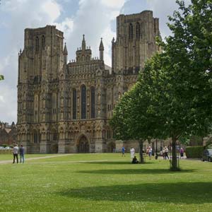 image-1