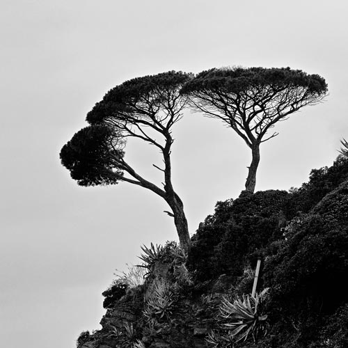 Sestri Levante