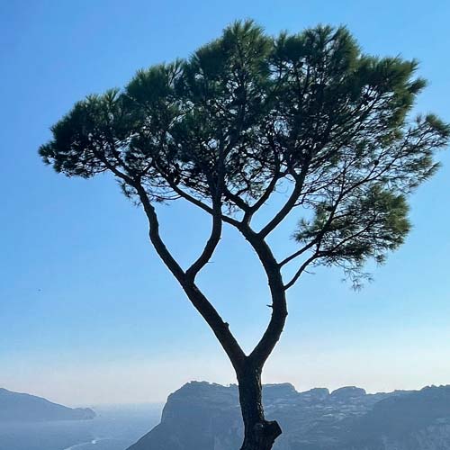 Annacapri