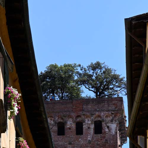 Lucca